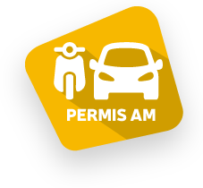 picto illustrant les permis auto voiture